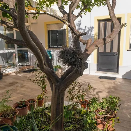 Lemon House Guest house *