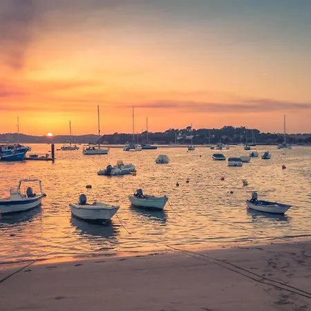 Lemon House Πανσιόν